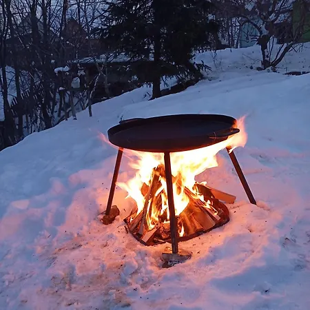 Gasthof Sonjashnyj *